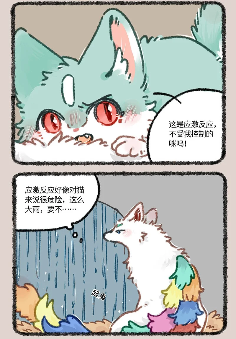 894 雨的记忆4
