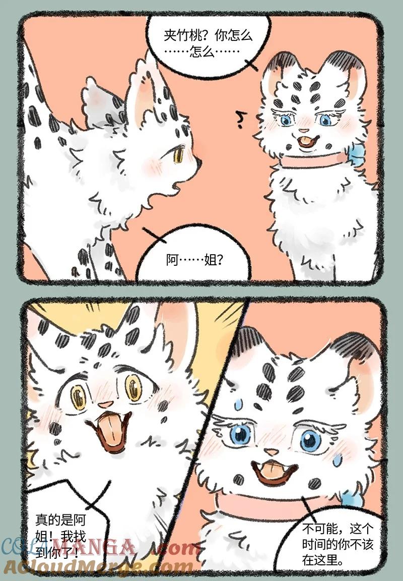971 孟极篇之再见阿姐2