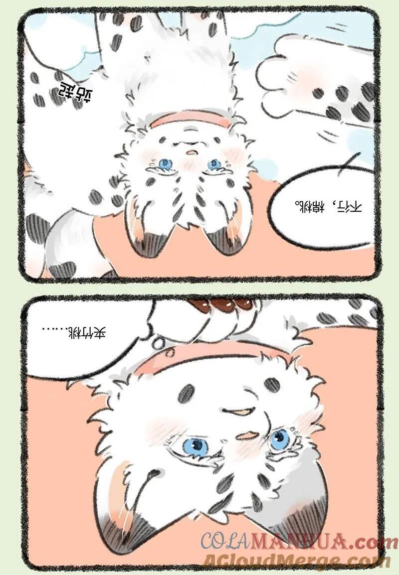 735 阿姐你到底在哪4