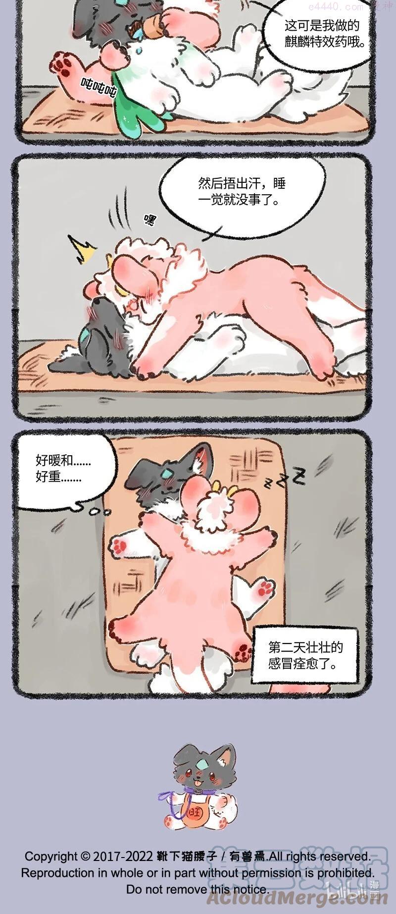 562 荔枝牌特效药3