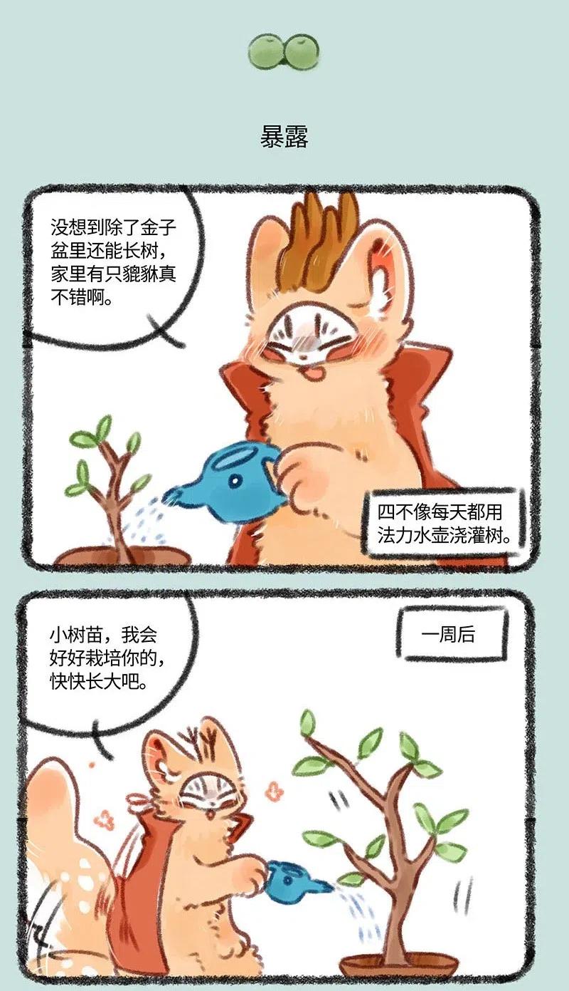 358 伪造2