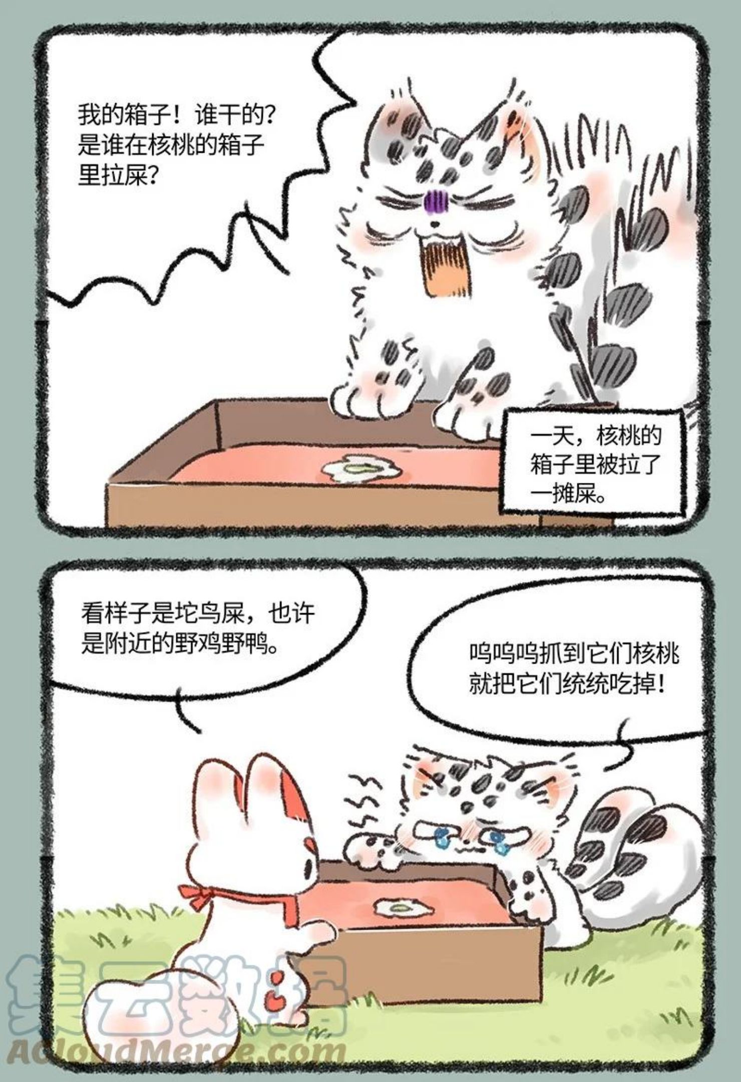 594 茶鸭自有茶鸭报1