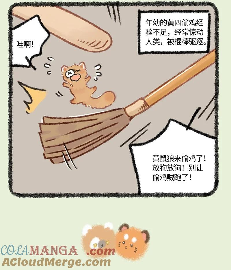 956 五弟，生日快乐3