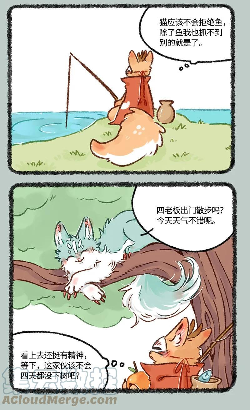 607 投喂猫猫类2