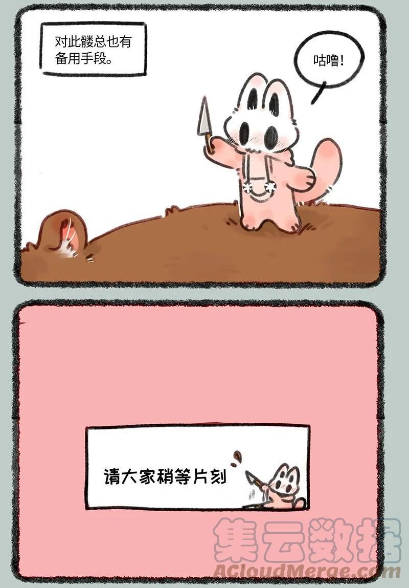 673 小髅进货4