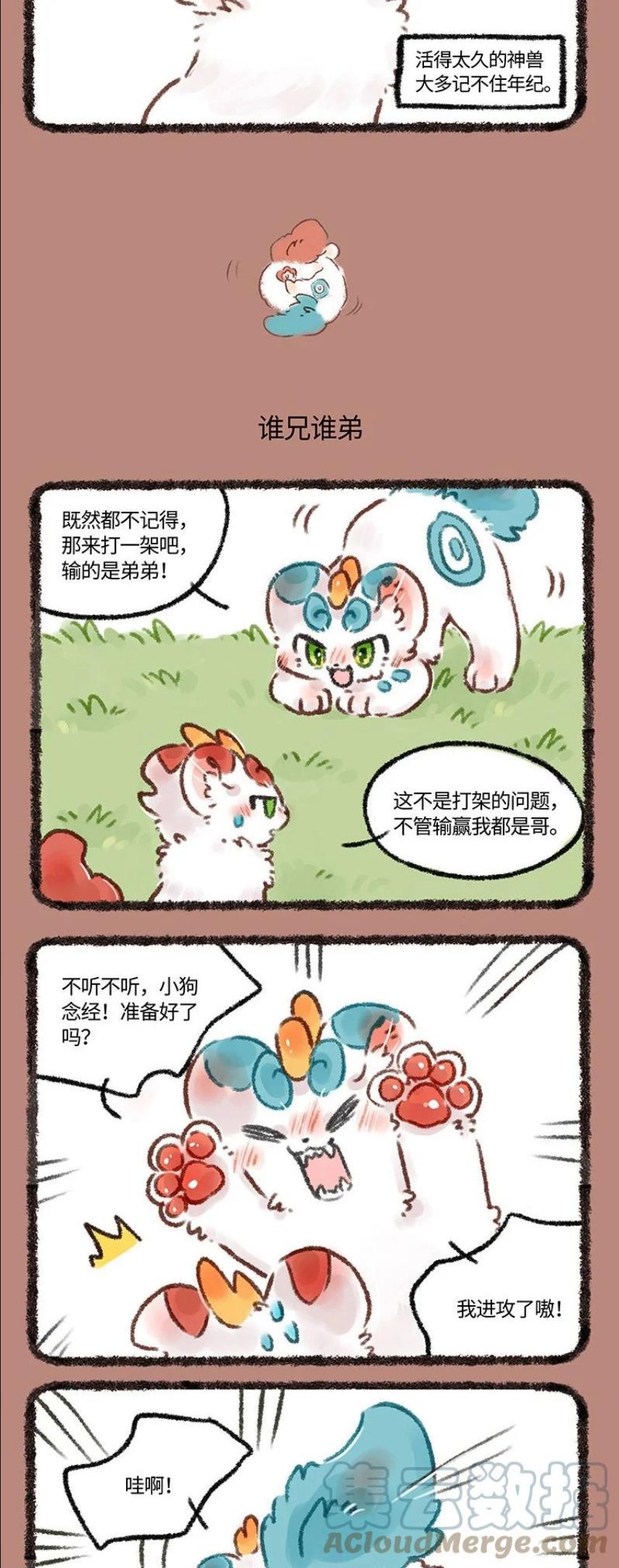 582 谁是哥哥1