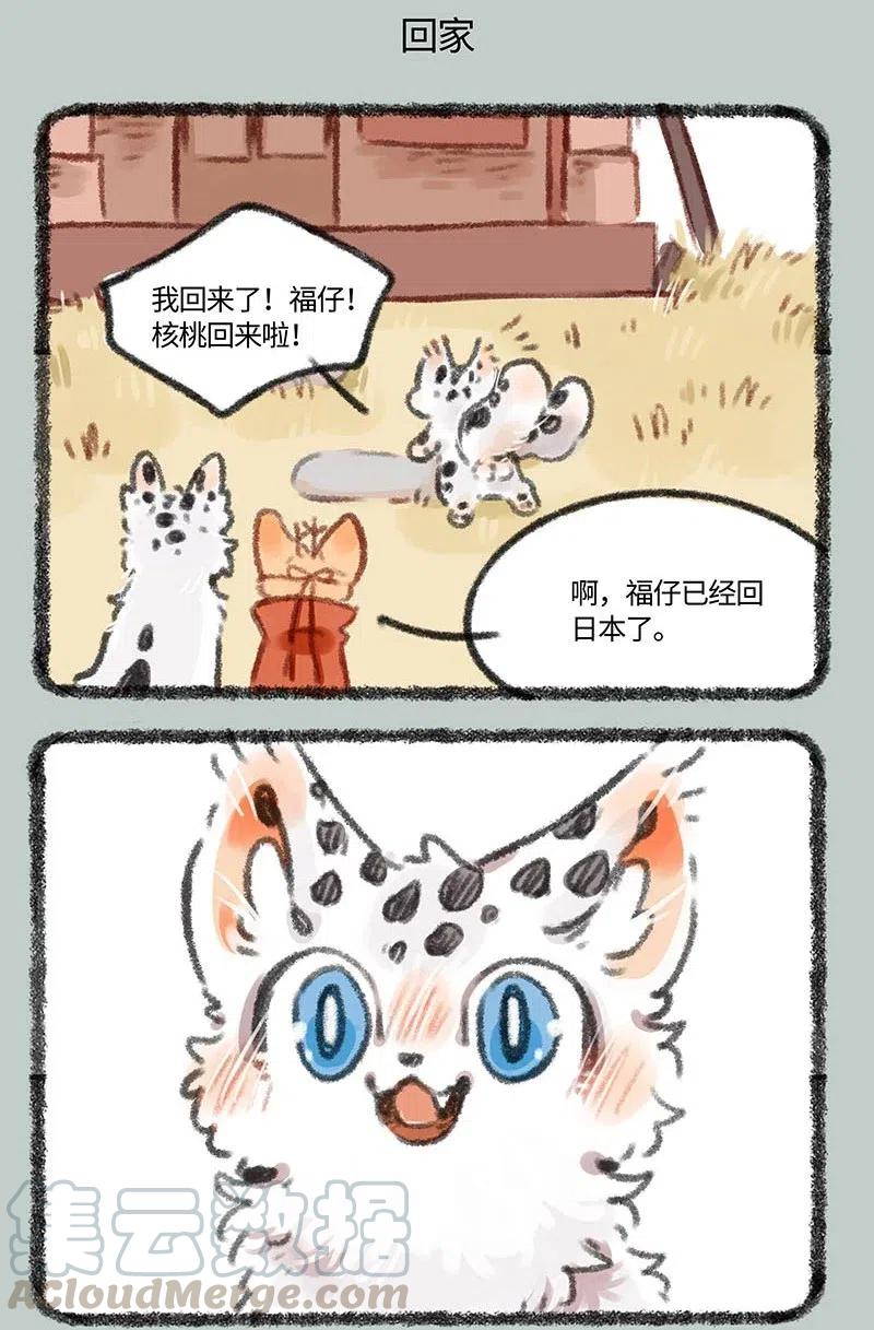 401 四不像身份3