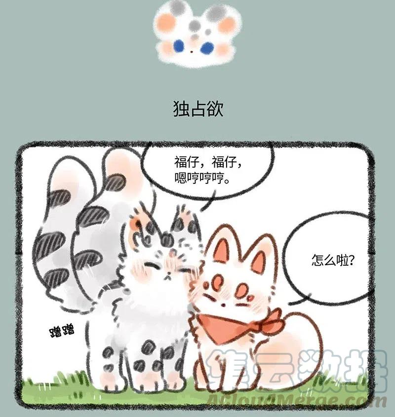 352 核桃的危机感4