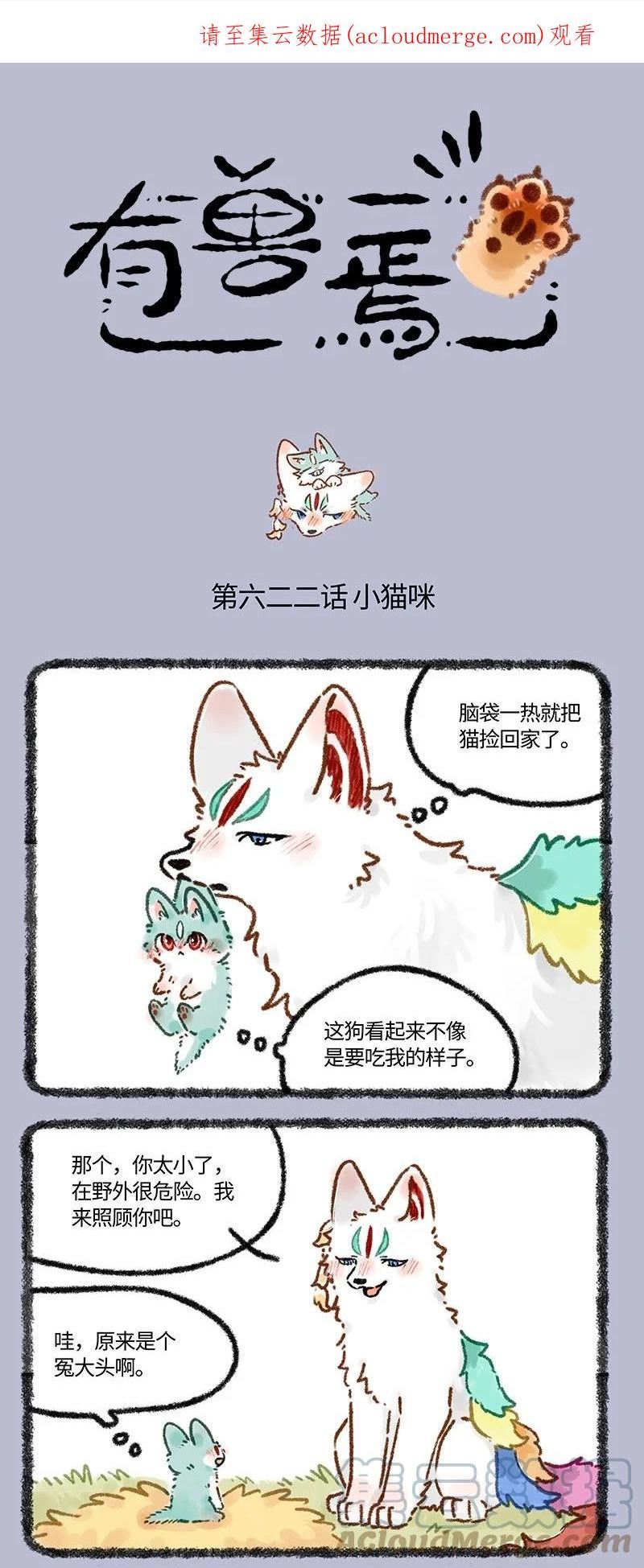 622 猫猫的骗局0