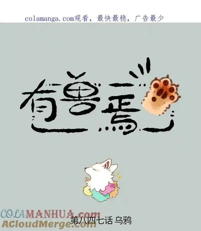 847 猫的奉献0
