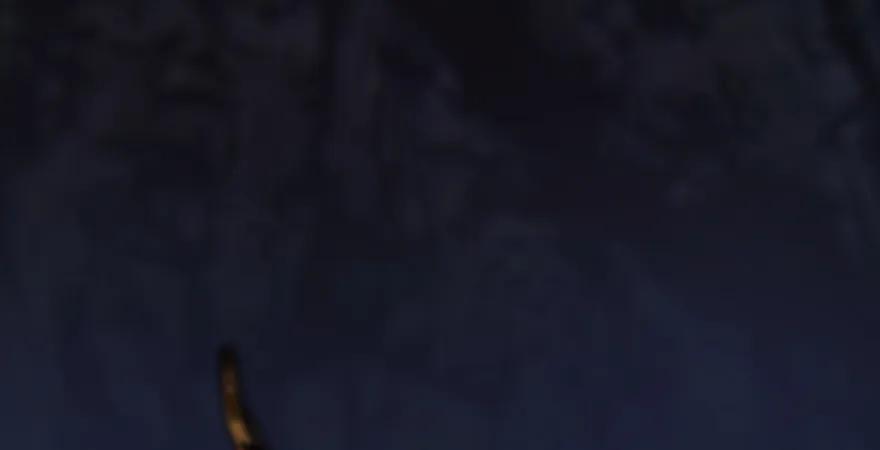 第198话：五大家族3