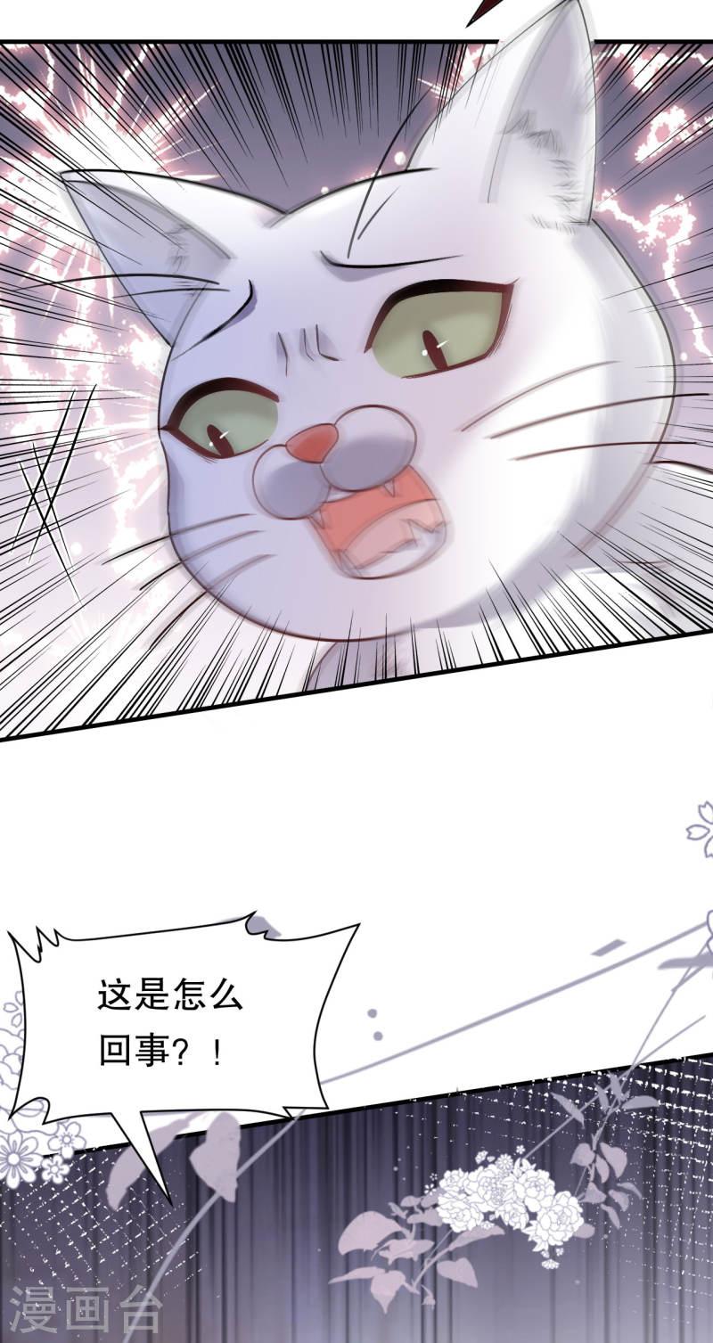 第177话 四人踏青4