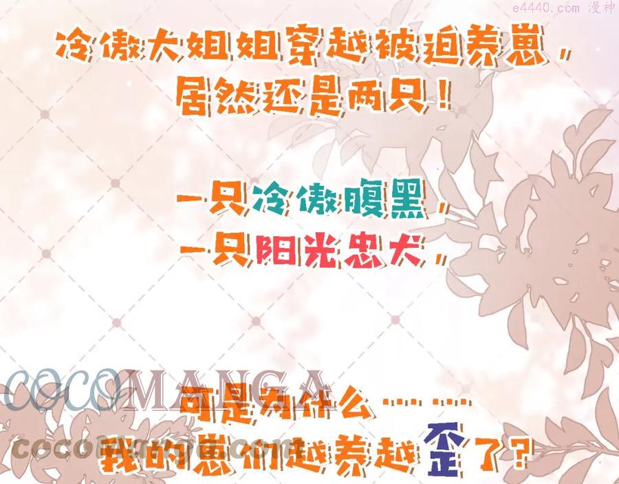 2月底即将上线——2