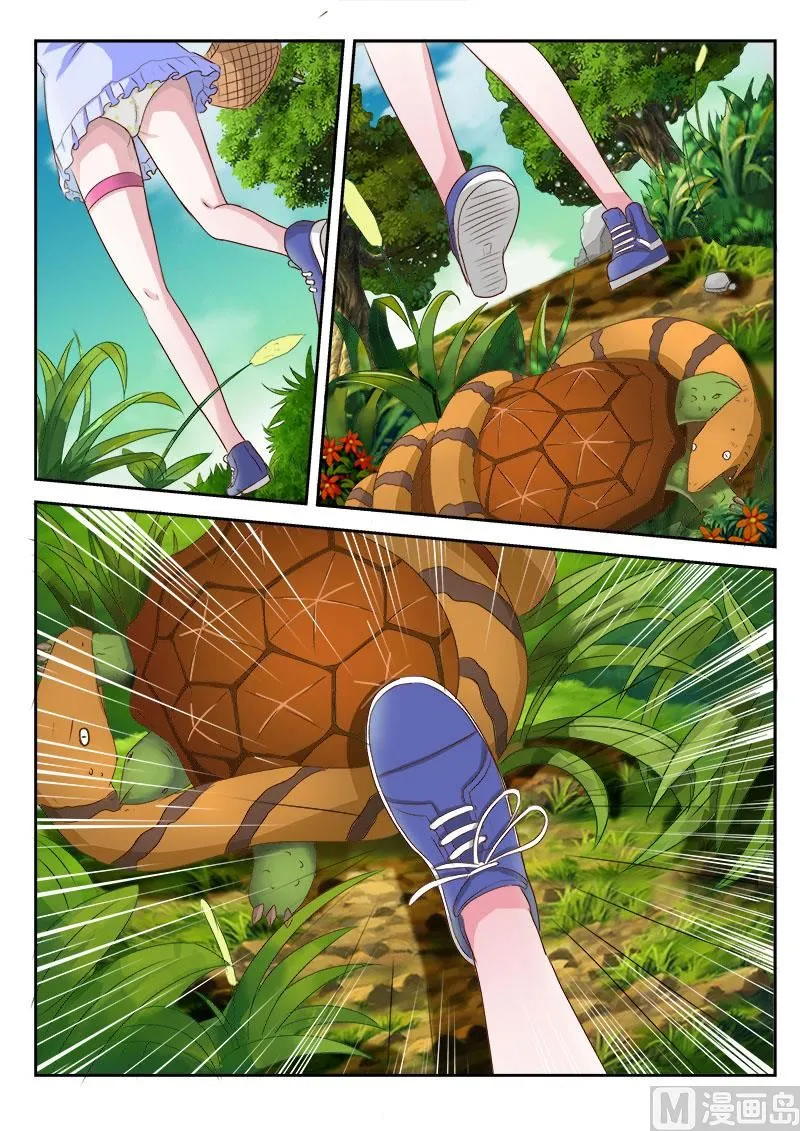 第015话 金钱龟4