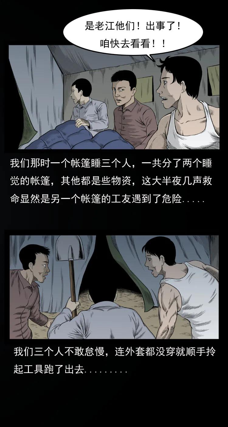 10 青藏铁路怪物事件4