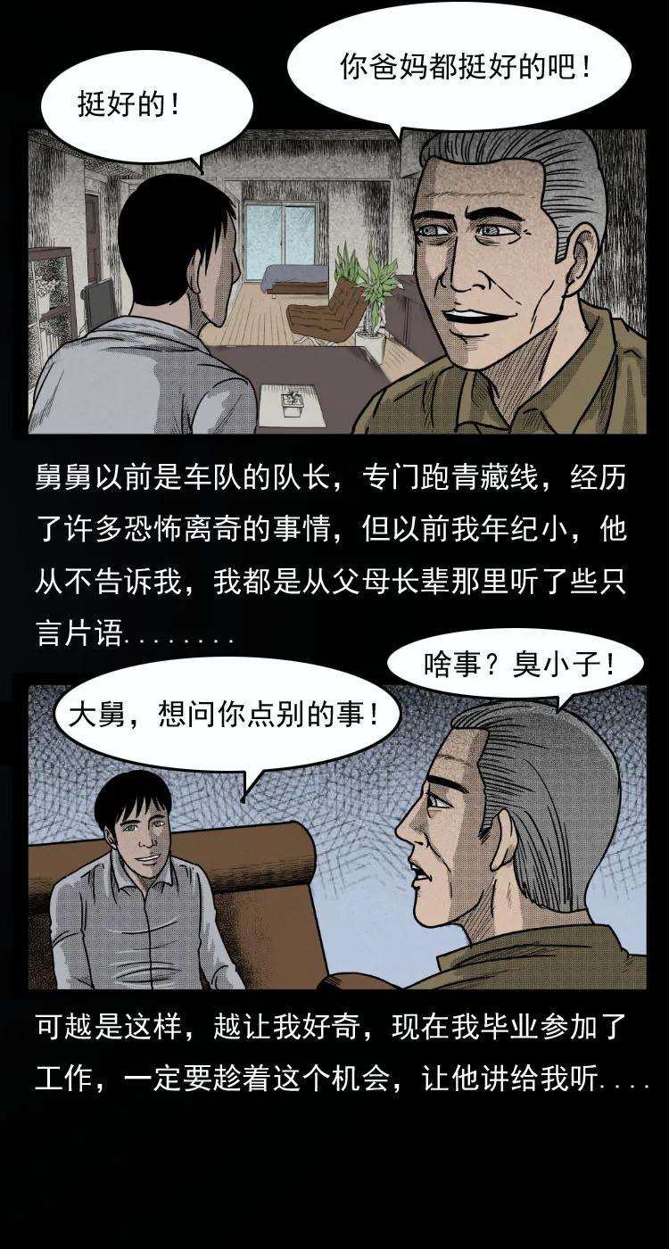 8 青藏线怪物事件2