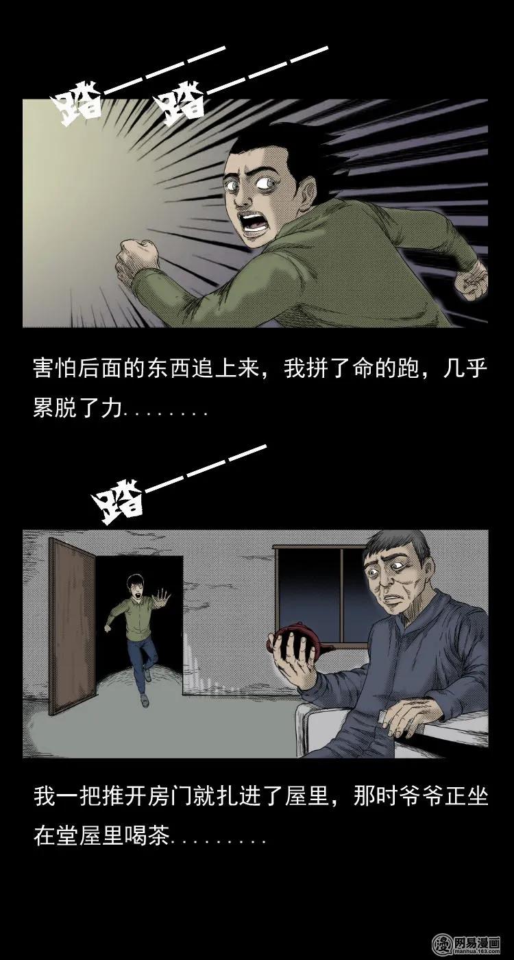 29 古树2
