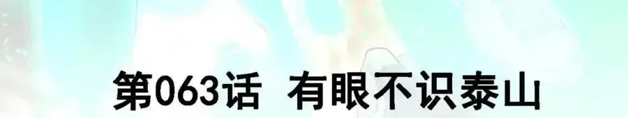 63 有眼不识泰山2