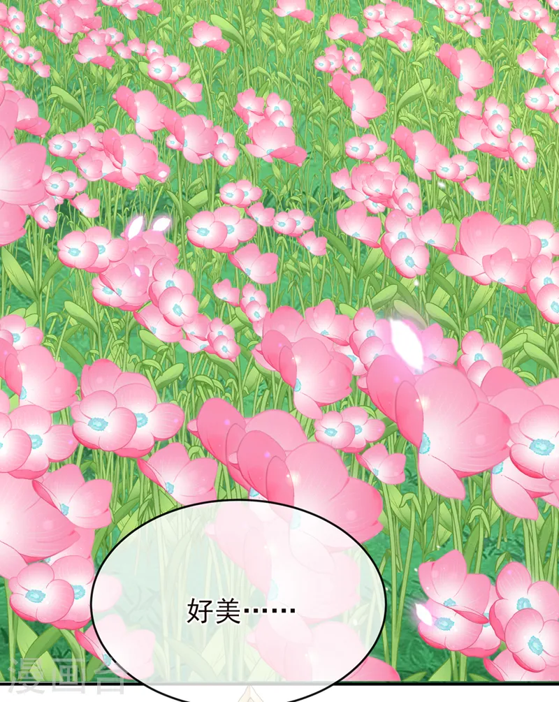 兽黑狂妃皇叔逆天宠TXT漫画,第250话 你不要逼人太甚！5图