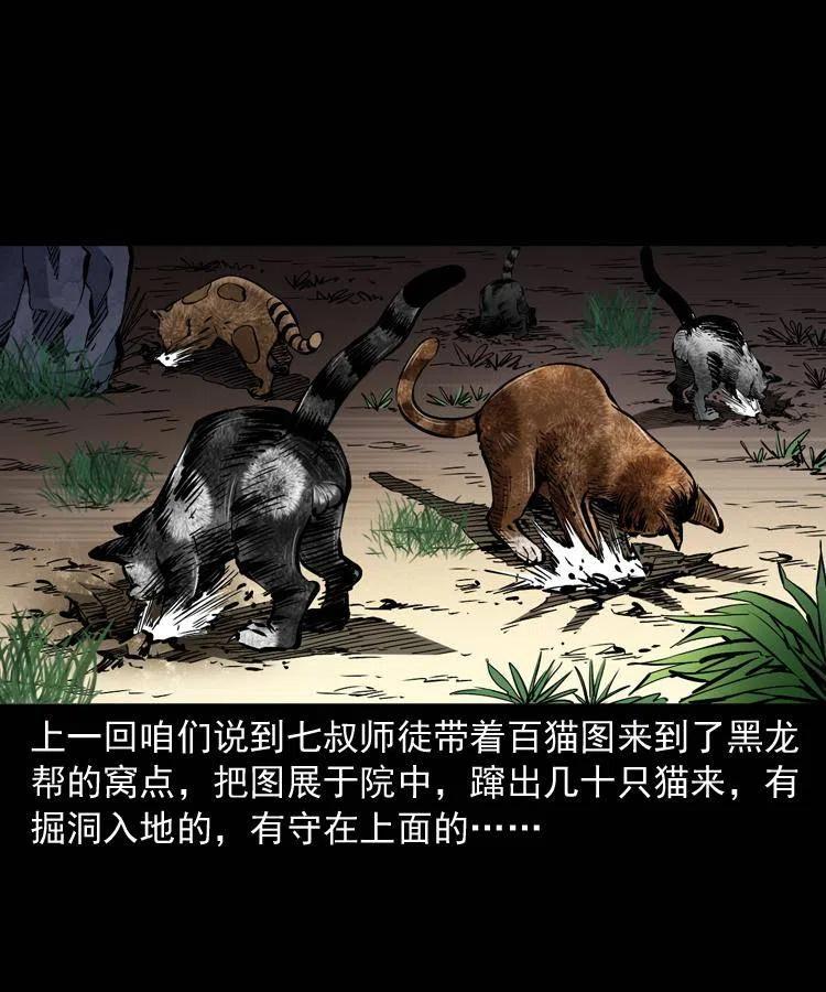 一百三十五话 百猫伏鼠1