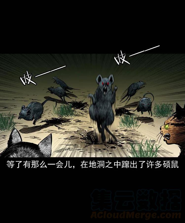 一百三十五话 百猫伏鼠3
