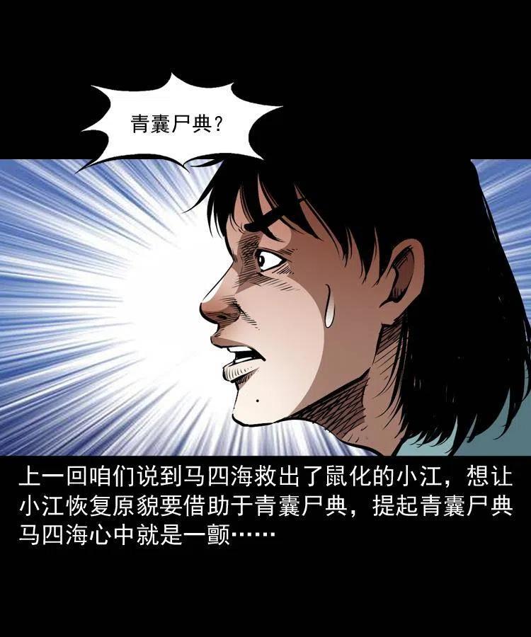 一百三十四话 百猫图1