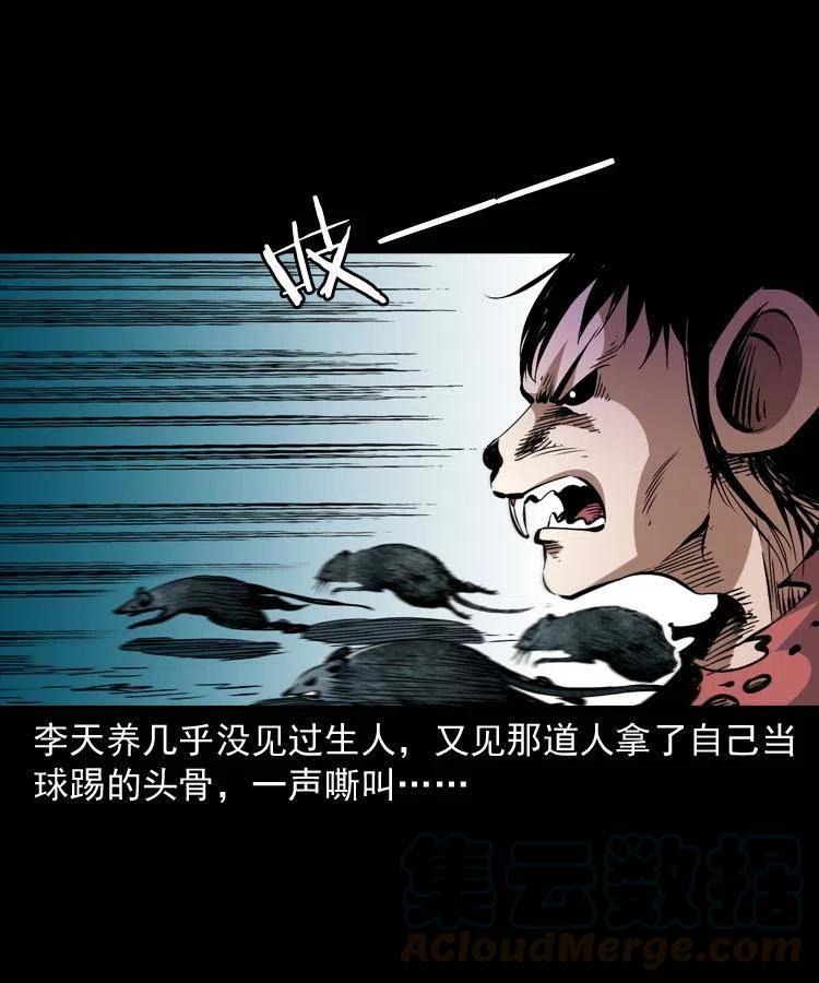 末代天师漫画,一百二十五话 鼠郎君5图