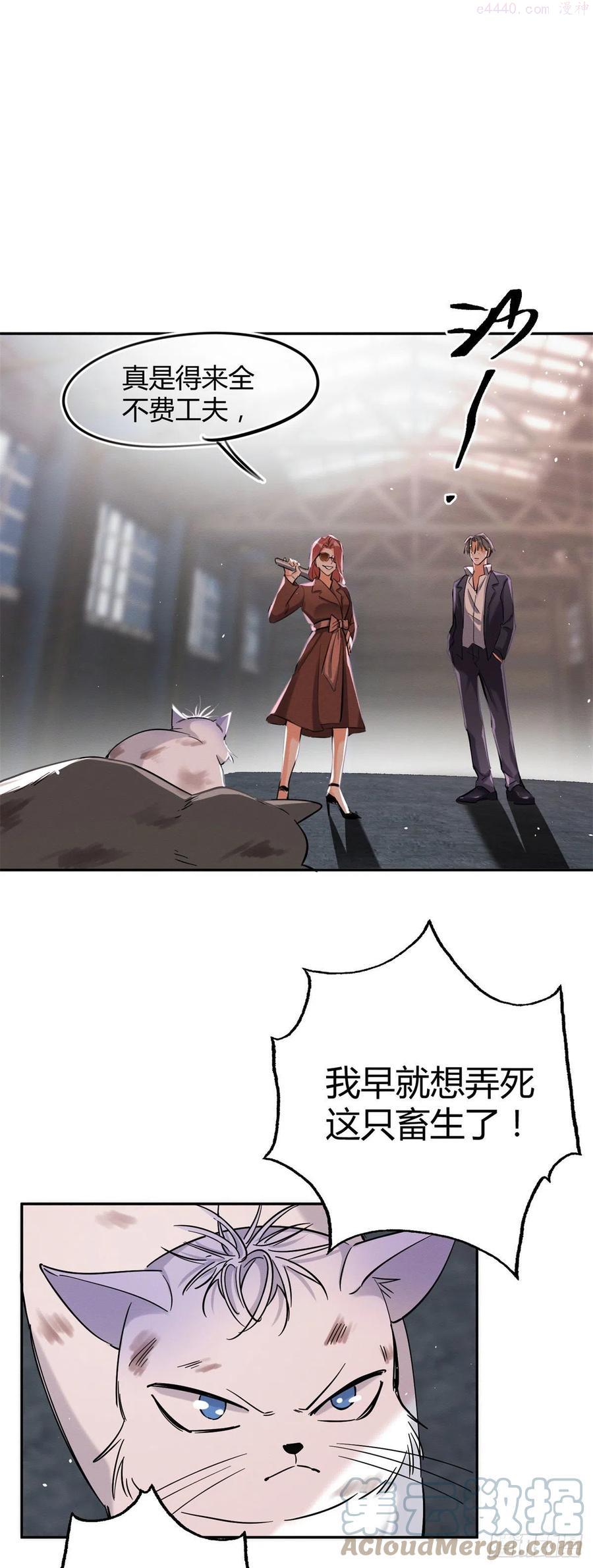 48英雄救猫狗2