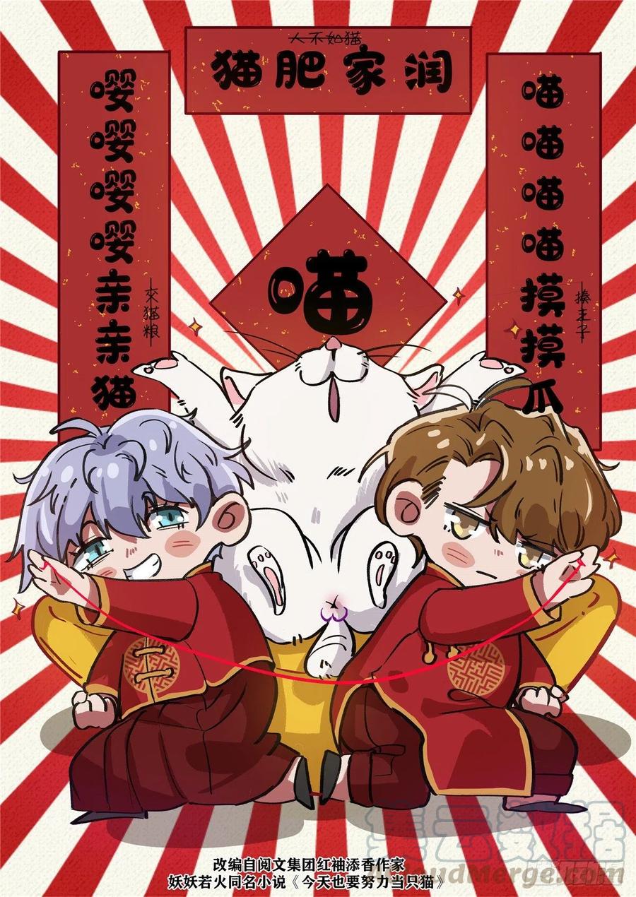 今天也要努力当只猫漫画免费阅读漫画,第4话 放开吧！1图
