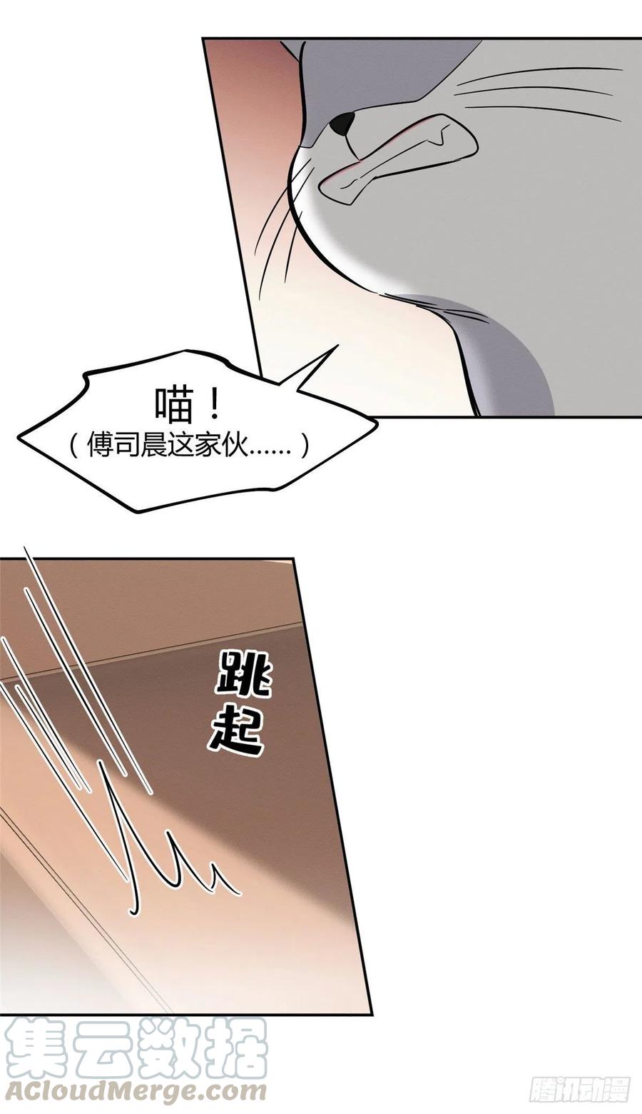 第31话 为了裴裴，接了！2
