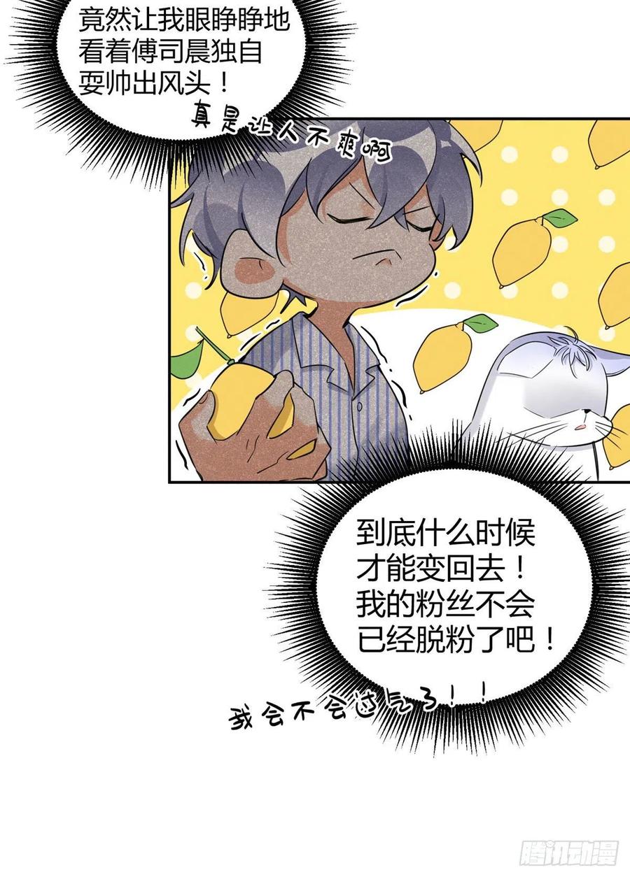第33话 睹猫思人1