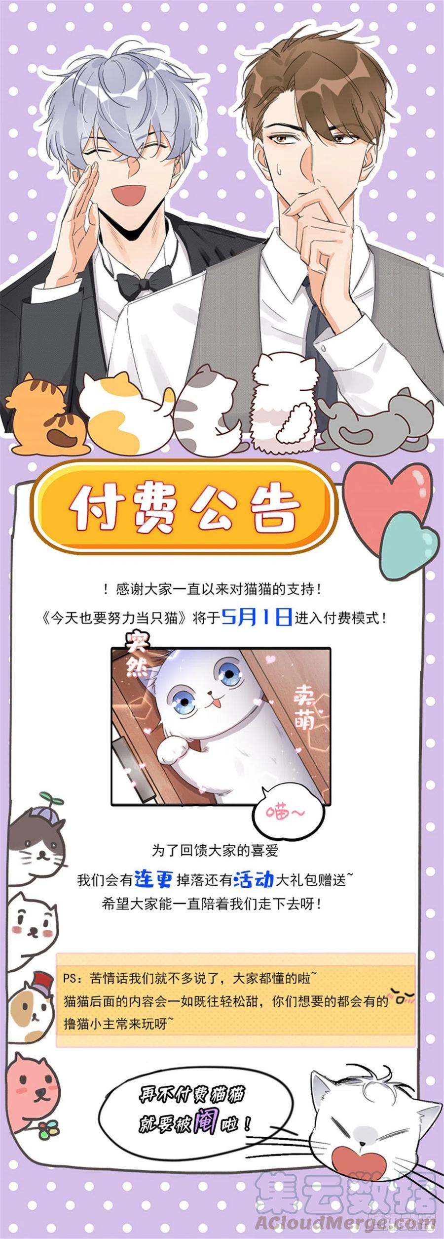 公告0