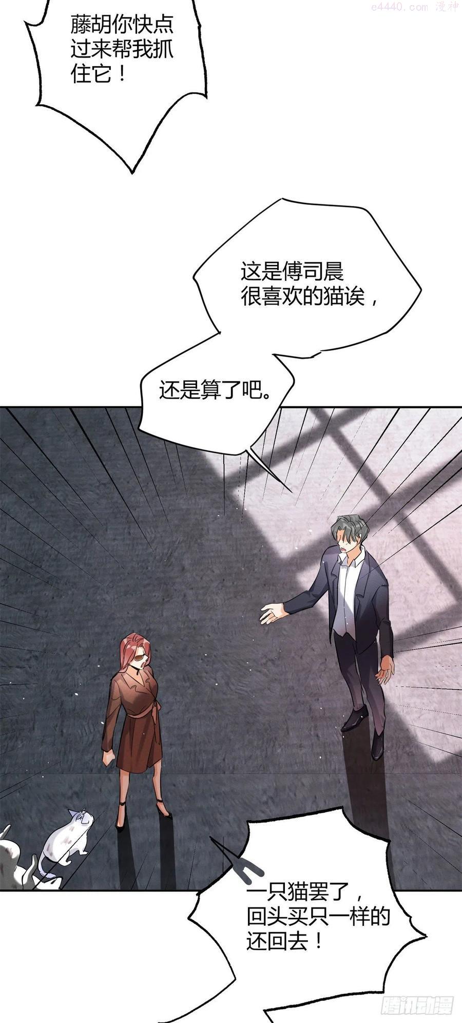 48英雄救猫狗3