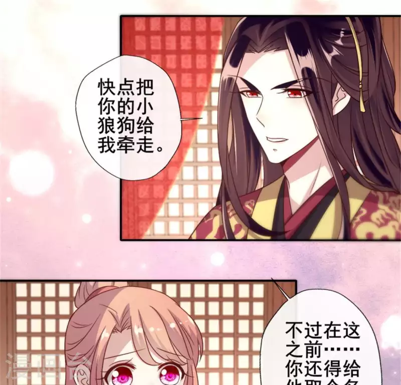 第48话 饲养小狼狗？清明时节4