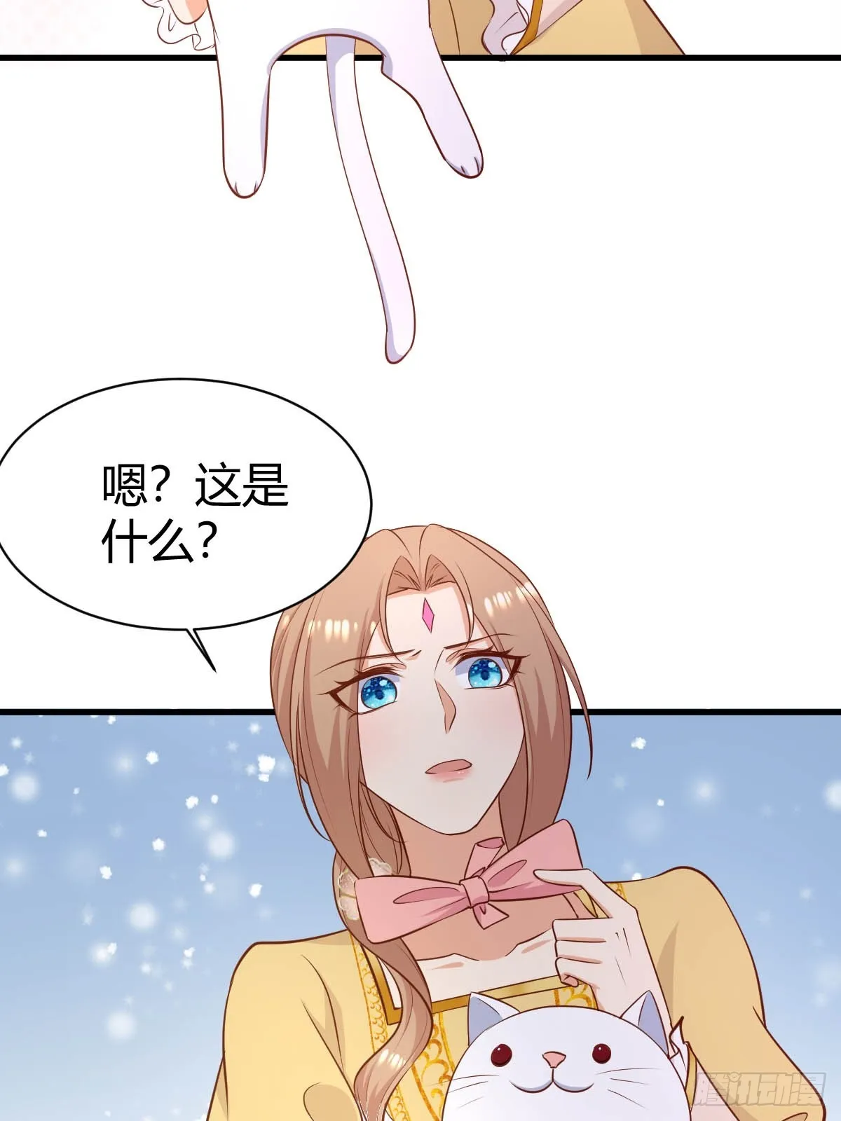 77 猫猫立大功3