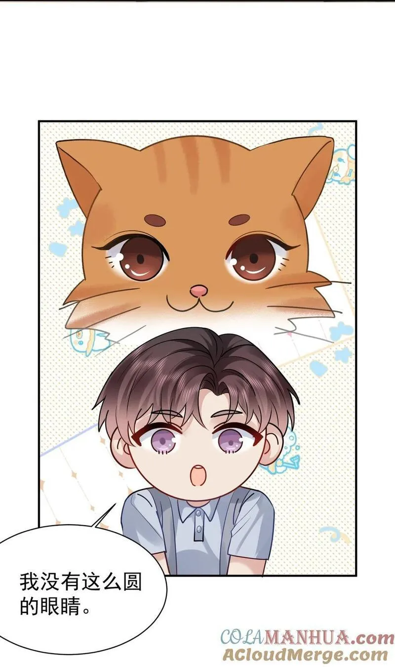 纸飞机~漫画,112 遗嘱1图