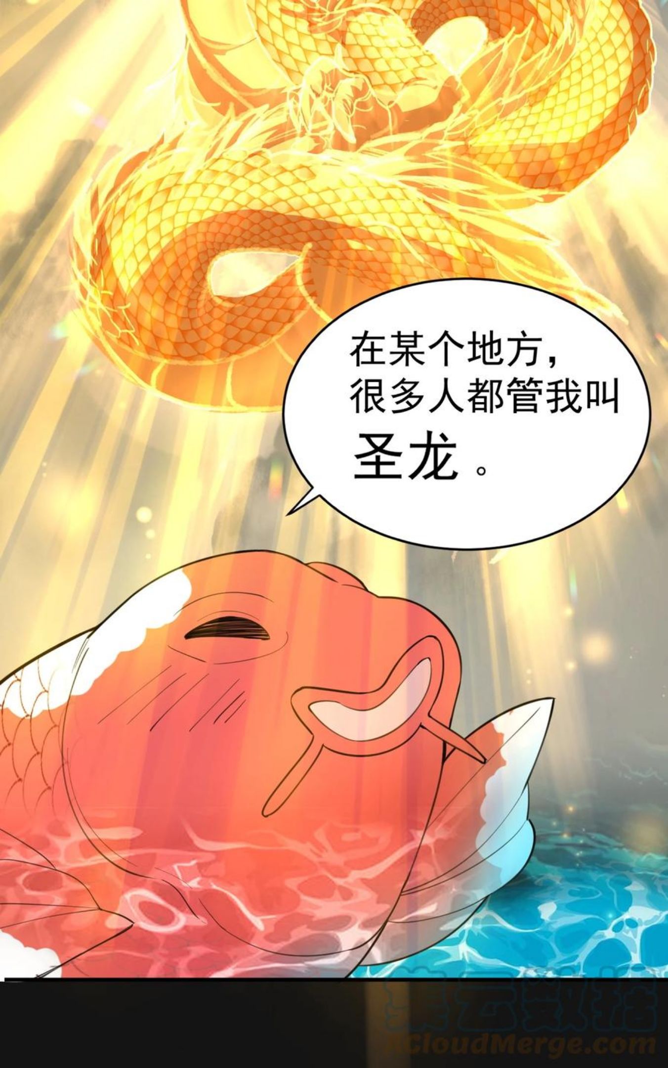 037 圣龙0