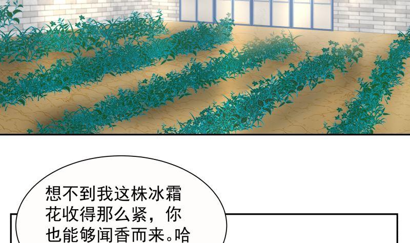 我身上有条龙主角老婆漫画,第392话 神秘附属品3图