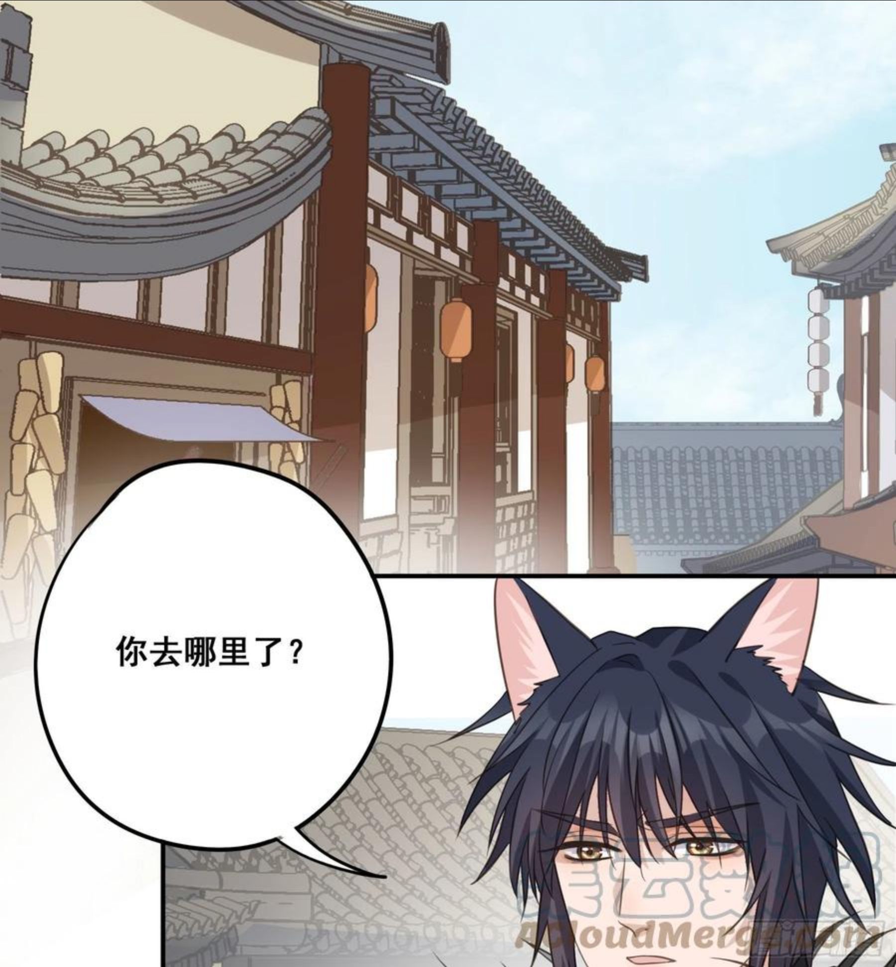 投喂4