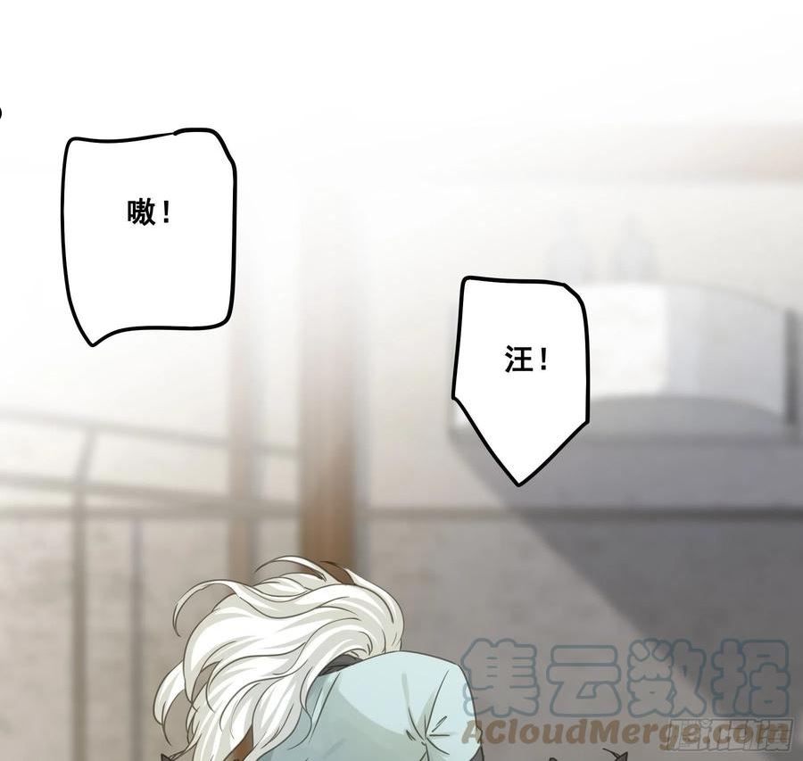 角斗场4