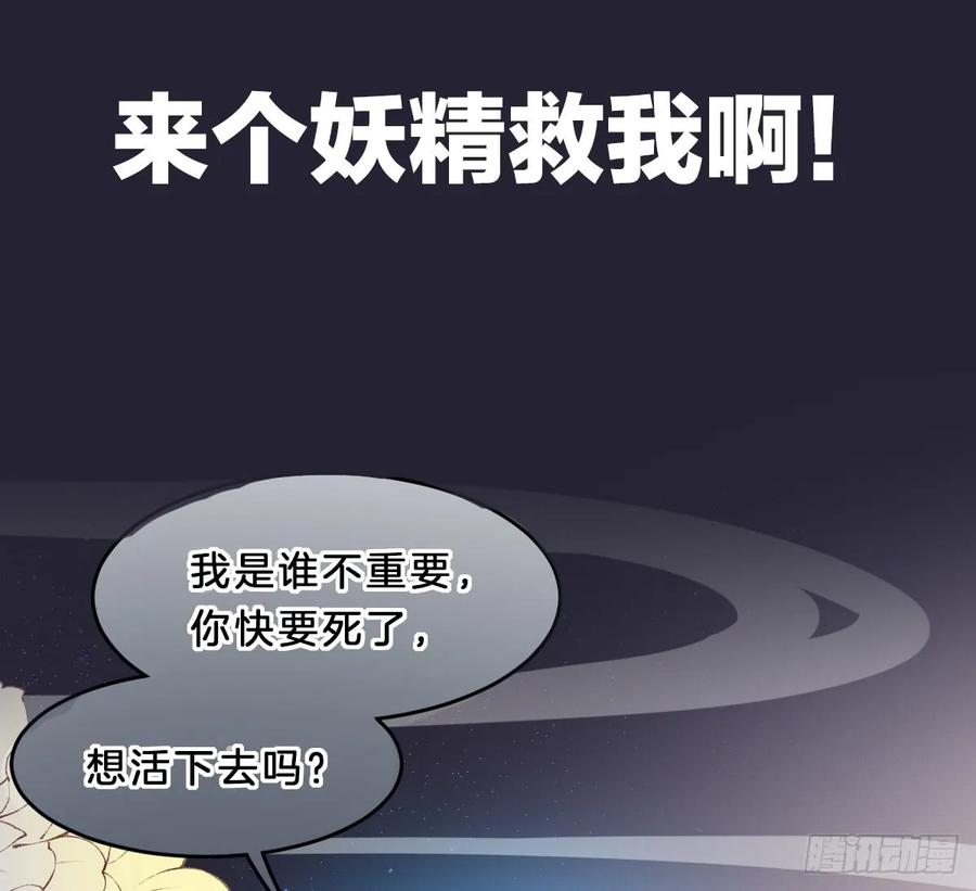 预告 介绍下我的后宫3
