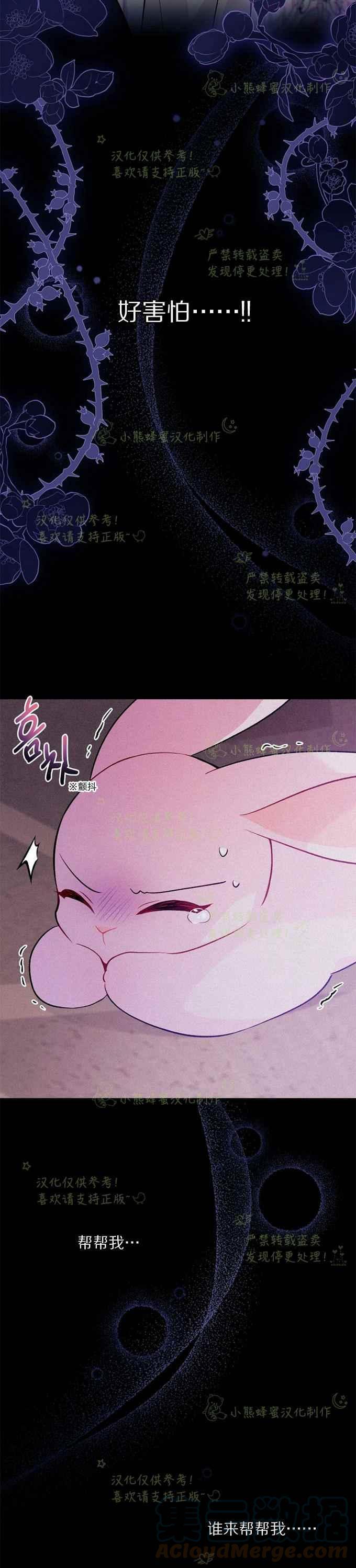 兔子与黑豹的共生关系免费小说漫画,第39话5图