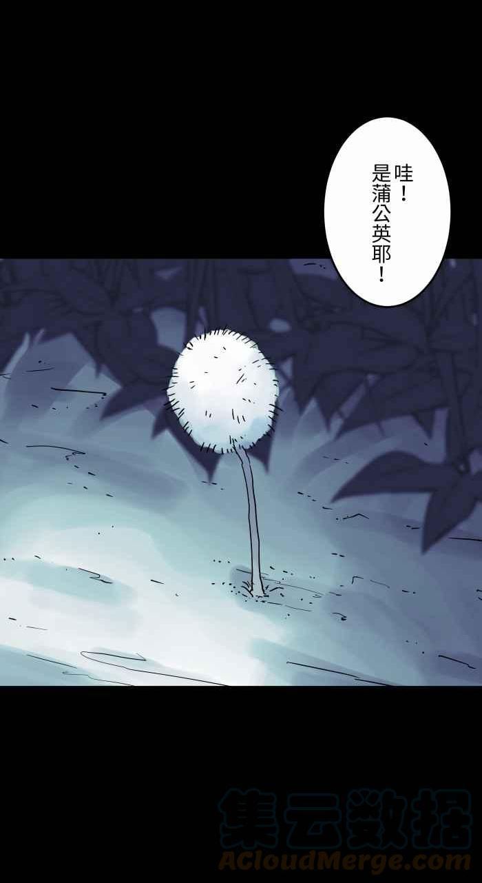[第812话] 蒲公英3