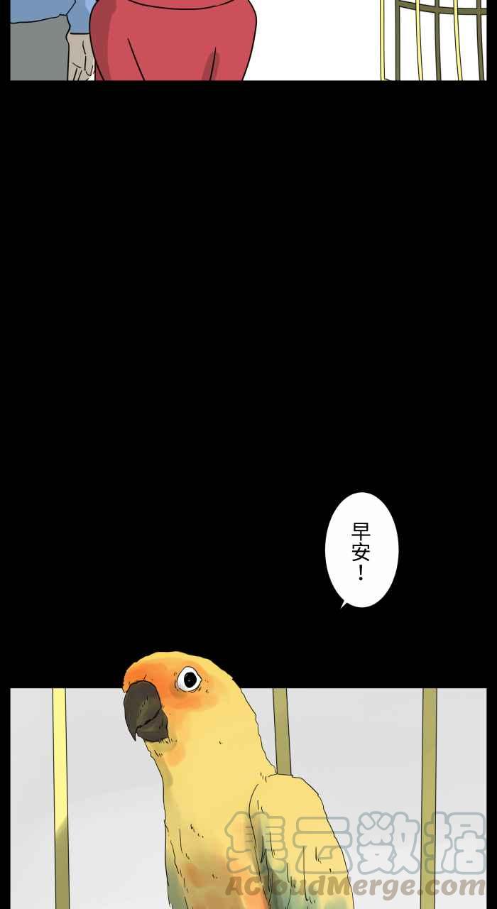 [第668话] 鹦鹉2