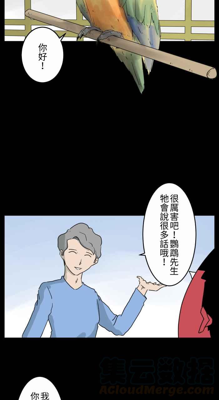 [第668话] 鹦鹉3