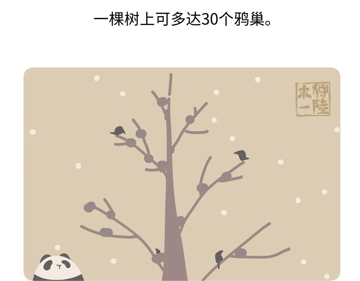 第247话2