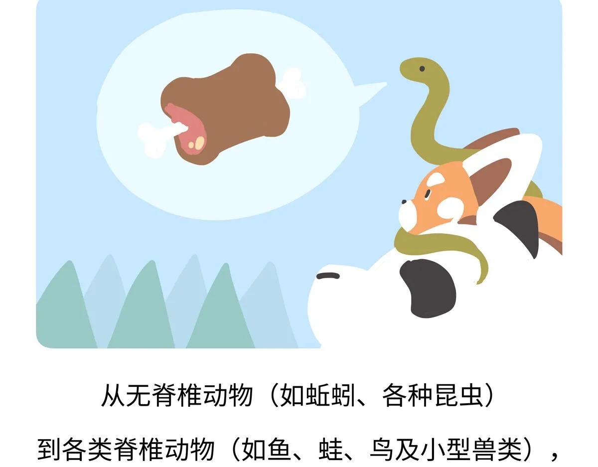 胖达x胖达漫画,第253话1图