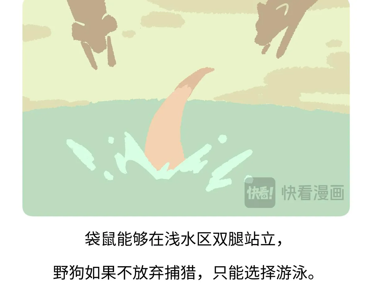 胖达x胖达漫画,第233话4图