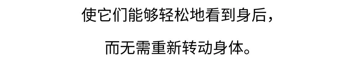 第225话0