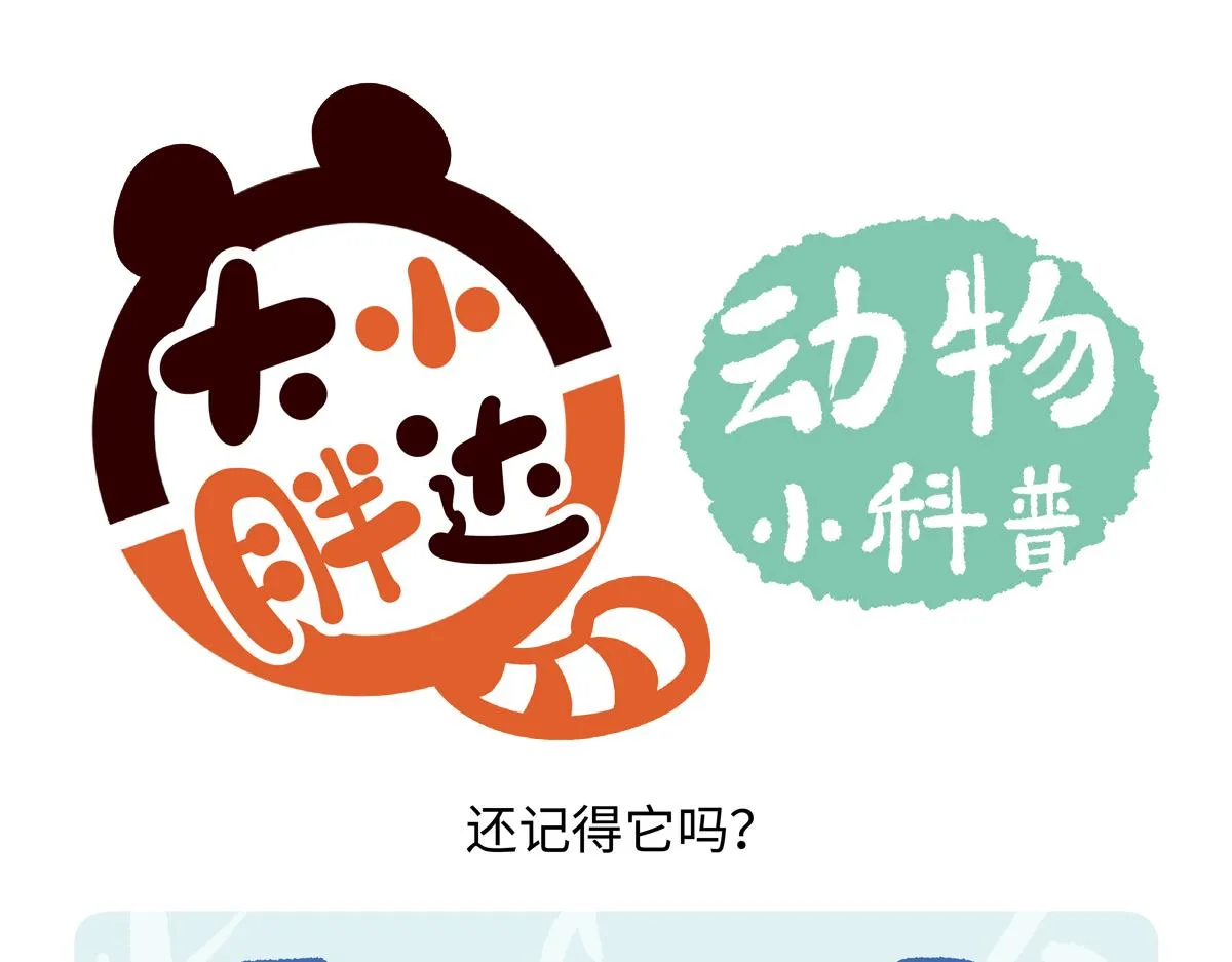 第247话4